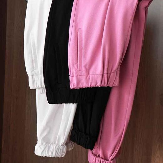 顺丰包邮洛诗琳34505早春新款休闲显瘦束脚宽松萝卜卫裤0668 商品图4