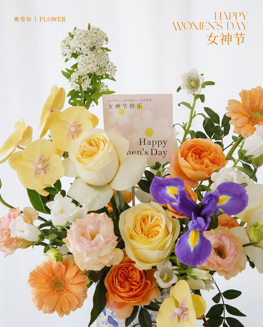 光芒女神 商品图3