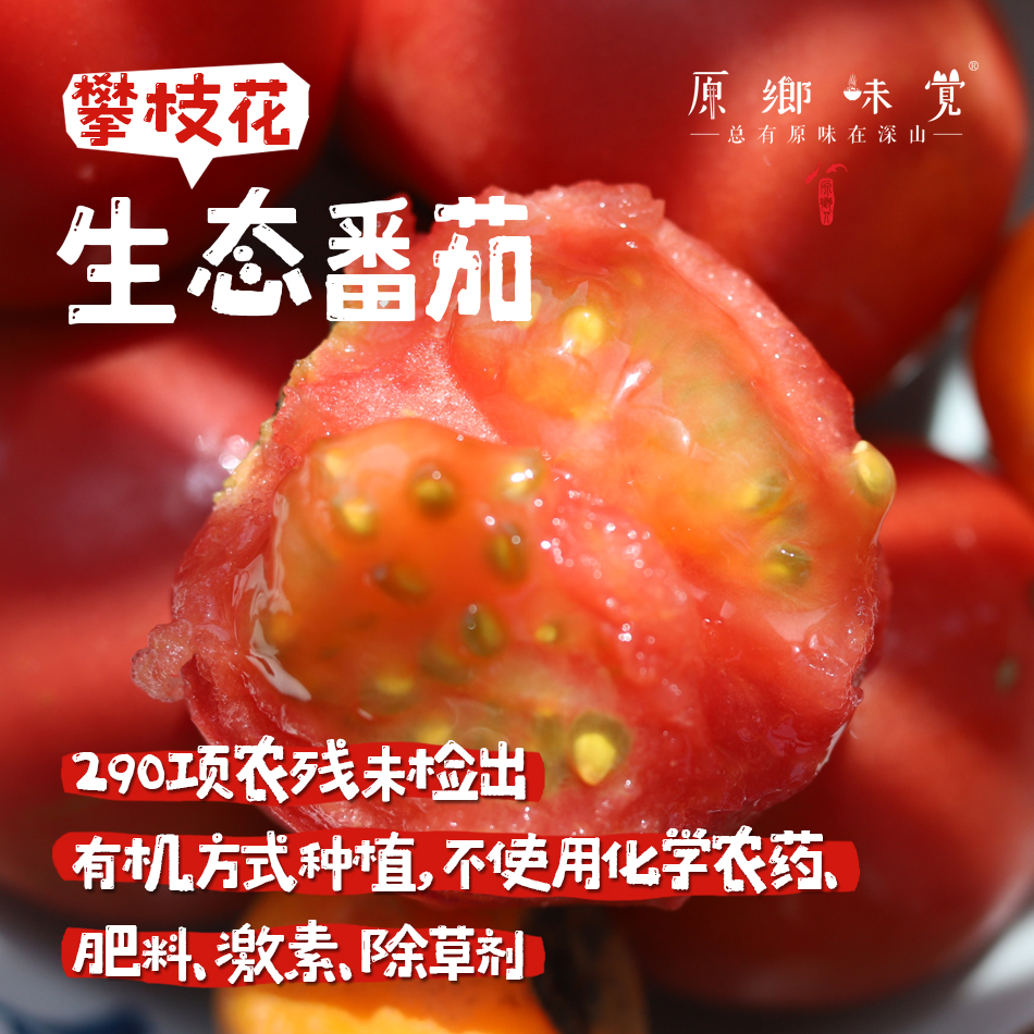 【预售，排单发货】攀枝花生态番茄/西红柿（基地直发-顺丰快递）｜2/4/4.5斤装，来自四川攀枝花，生产者：许桂云【合作生产，公平贸易】
