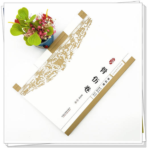 浙派中医:骨伤卷（专科卷）童培建 主编 中国中医药出版社 浙派中医系列丛书 商品图1