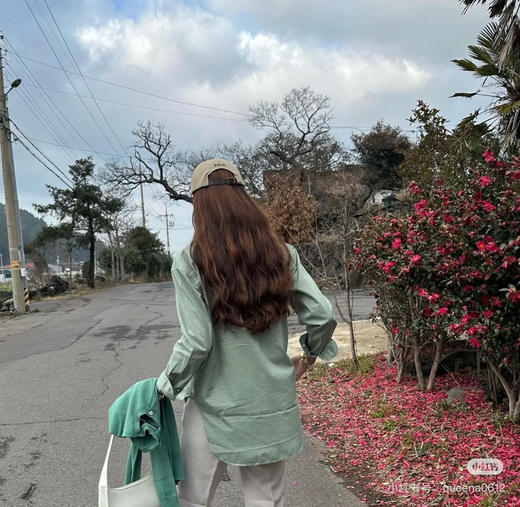 228-4 多巴胺颜色 小马刺绣 衬衫 商品图7