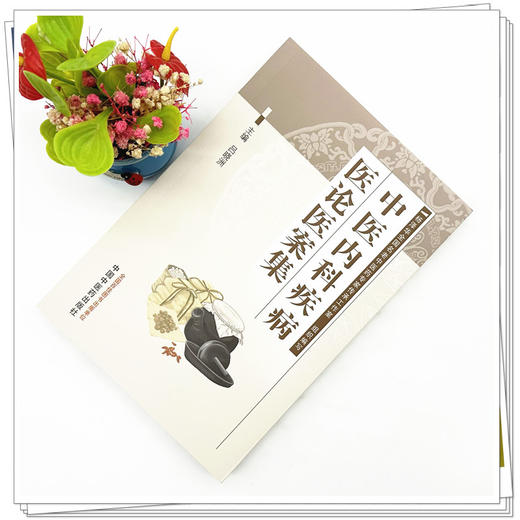 中医内科疾病医论医案集 吕晓洲 主编 中国中医药出版社 中医临床 医案 书籍 商品图1