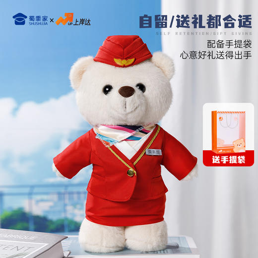 【机长&空姐站姿熊】可定制创意毛绒职业小熊公仔儿童玩具服装可脱送礼礼物 商品图5