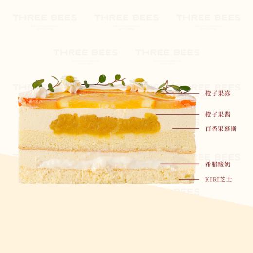 香橙百香果 商品图1