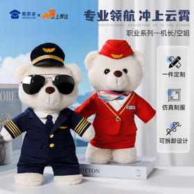 【机长&空姐站姿熊】可定制创意毛绒职业小熊公仔儿童玩具服装可脱送礼礼物