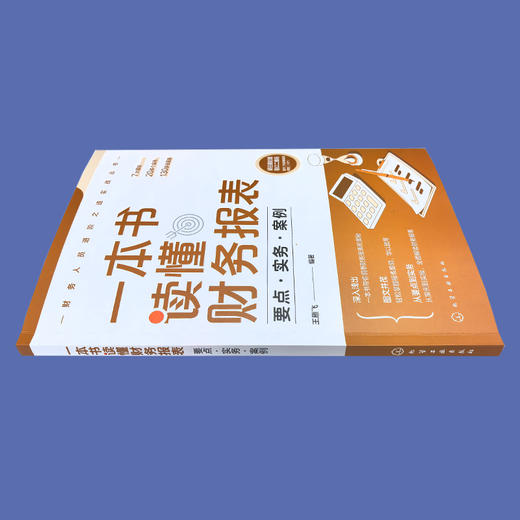 一本书读懂财务报表：要点·实务·案例 商品图2