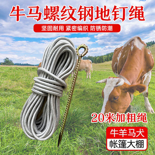 栓牛绳子地钉栓牛羊马橛子大棚钉草坪钉螺纹钢帐篷钉地锚固定装 商品图0