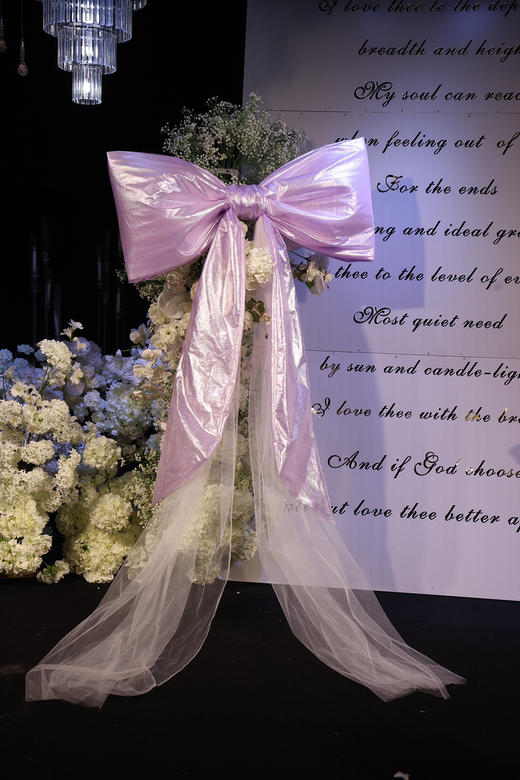 公主蝴蝶结（运费自理） 商品图1