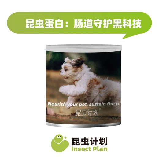 昆虫计划宠物粮·犬粮 商品图3