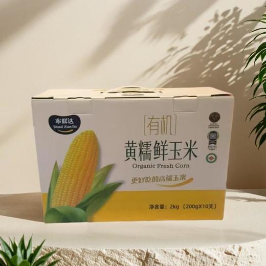 黄糯玉米 2000g/箱 商品图0