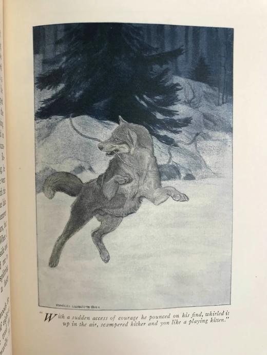 1920年 林地居民喜剧 8幅彩色插图 漆布精装18开 商品图9