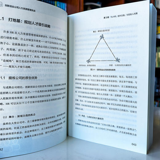 创新创业公司人力资源管理实战 商品图5