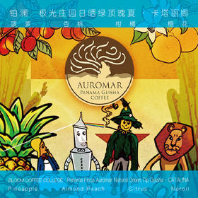 巴拿马极光庄园卡塔丽娜绿顶瑰夏日晒手冲咖啡豆