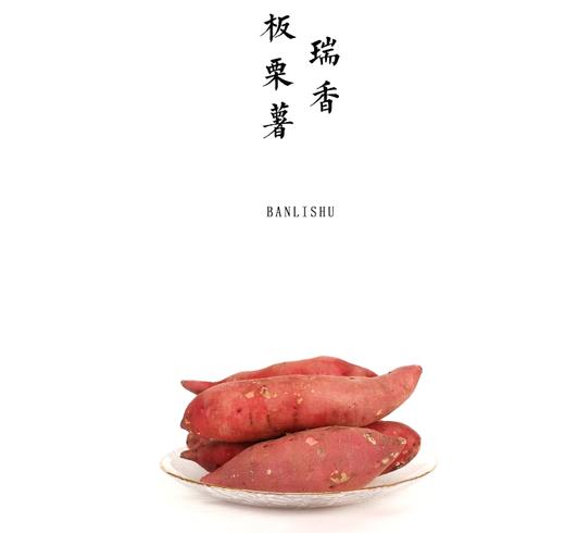 合作 |有机瑞香板栗薯 2斤 商品图0