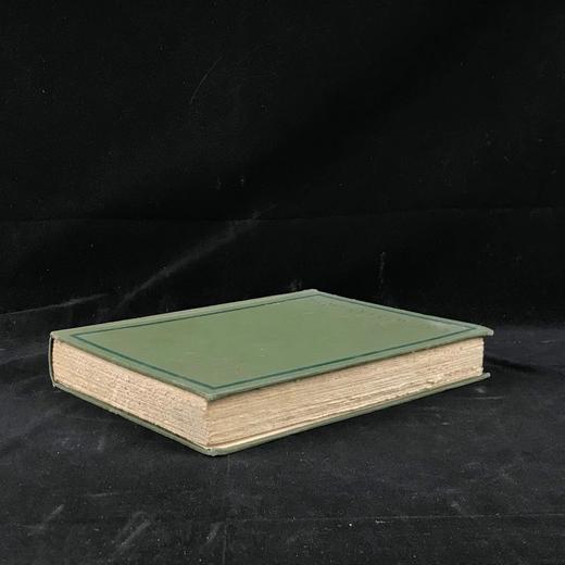 1920年 林地居民喜剧 8幅彩色插图 漆布精装18开 商品图1