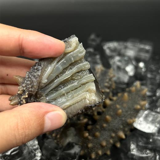 辽海元鲜食海参 单斤4头 参王 商品图4