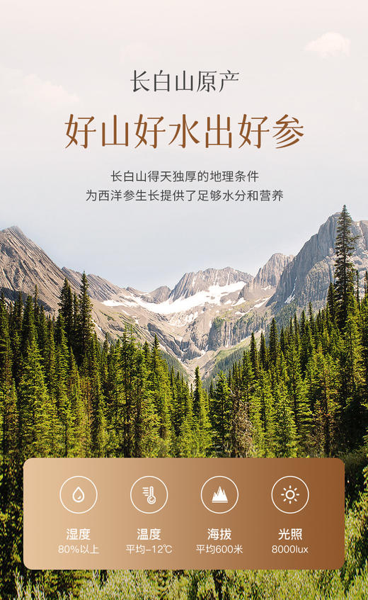 老滇凰玉灵膏西洋参桂圆龙眼肉古法蒸制180g/瓶正品 商品图4