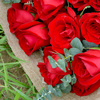 长相思丨19枝红玫瑰花束 商品缩略图1