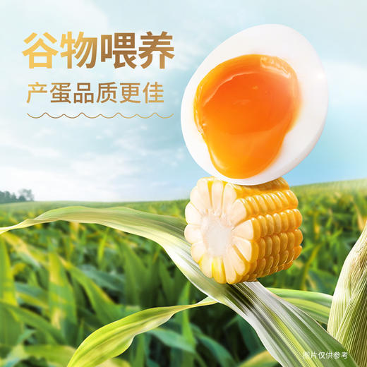 圣迪乐多维谷物蛋30枚【圣迪乐】JCT 商品图5