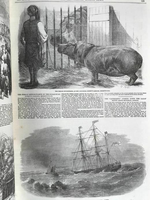 41.5*29cm！1854年 伦敦新闻画报 数百幅版画插图 真皮精装8开 商品图8