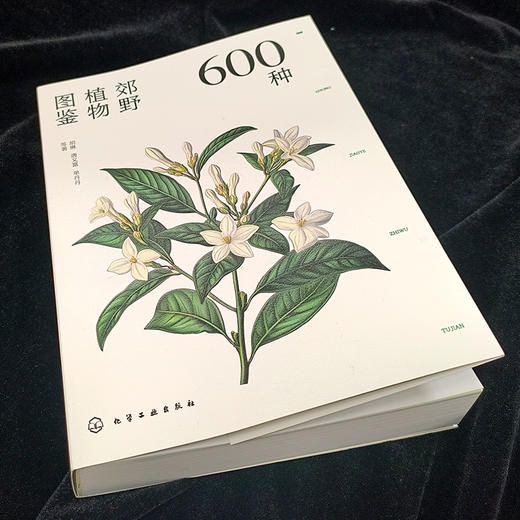 600种郊野植物图鉴-分销 商品图1