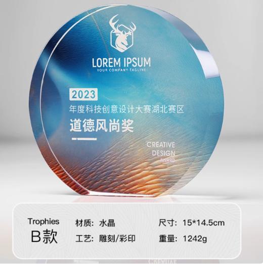 水晶奖杯定制定做高档创意彩印刻字荣誉奖牌年会优秀员工颁奖订制 商品图4