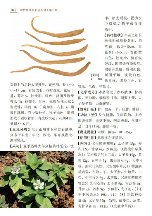 现代中草药彩色图谱（第二版） 商品图7