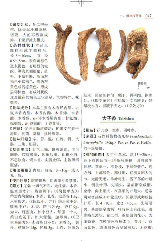现代中草药彩色图谱（第二版） 商品图6