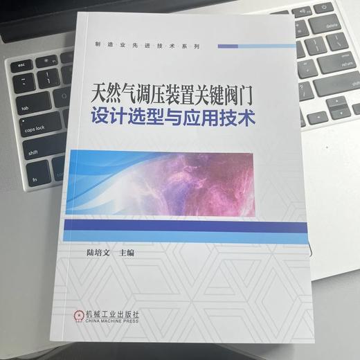 天然气调压装置关键阀门设计选型与应用技术 商品图2