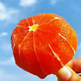 [最农公社]湖北秭归中华红血橙净重4.5斤/9斤彩箱新鲜采摘