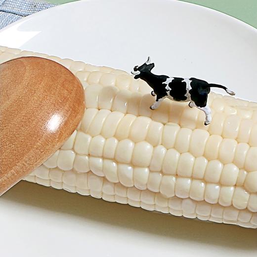 奶香玉米400g*3袋 商品图6