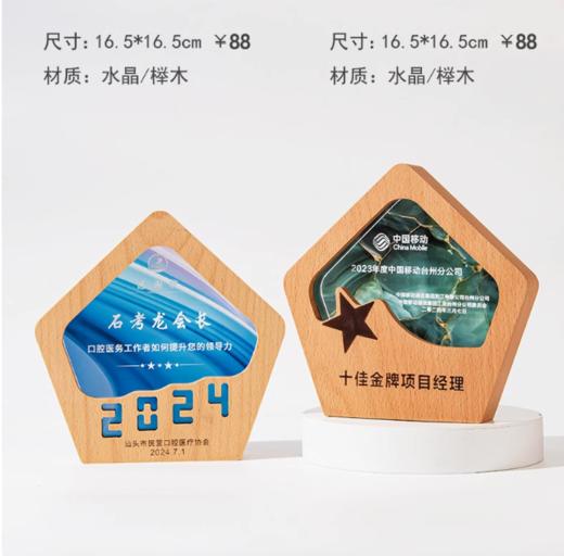 创意奖杯定制水晶高档大气优秀员工纪念奖座荣誉订制纪念奖牌制作 商品图0