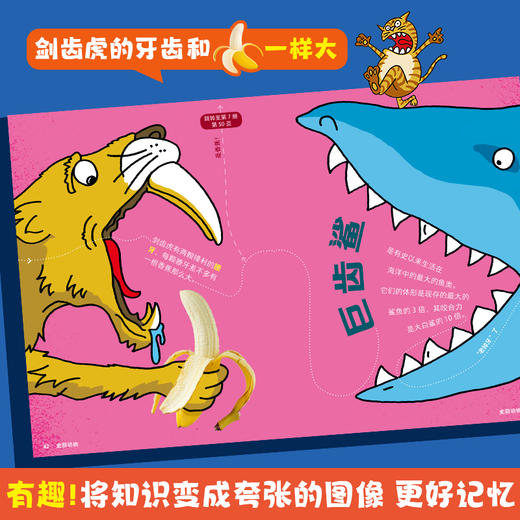 【青葫芦】【周洲推荐】大英儿童百科万万想不到（全32册）平装版 商品图3