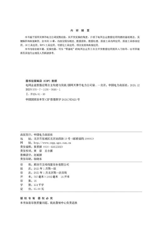 电网企业数据应用自主构建与实践 商品图3