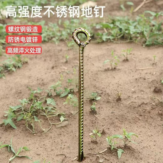 栓牛绳子地钉栓牛羊马橛子大棚钉草坪钉螺纹钢帐篷钉地锚固定装 商品图1