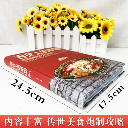舌尖上的中国美食书家常菜大全 商品图1