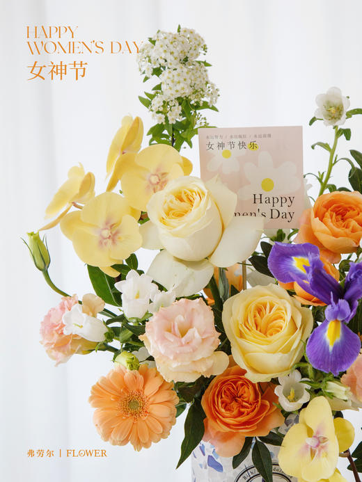 光芒女神 商品图1