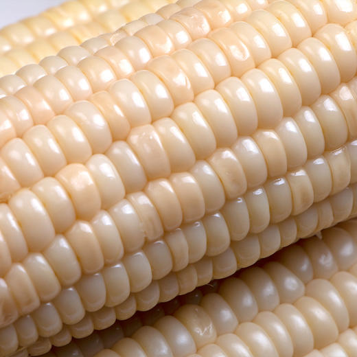 甜糯玉米450g*3袋 商品图3