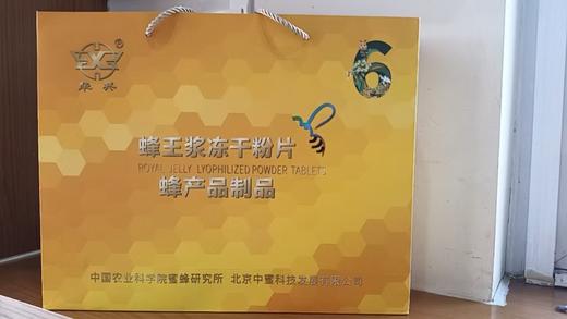 蜂王浆冻干粉片60╳6粒/盒（蜂产品制品） 商品图1