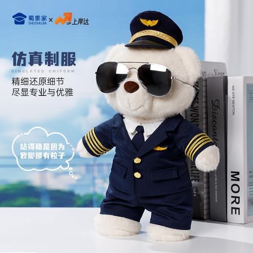【机长&空姐站姿熊】可定制创意毛绒职业小熊公仔儿童玩具服装可脱送礼礼物 商品图3