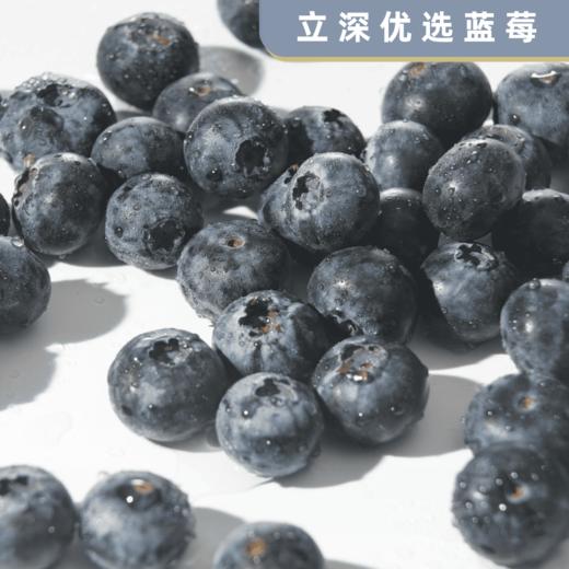 立深优选 蓝莓 商品图1