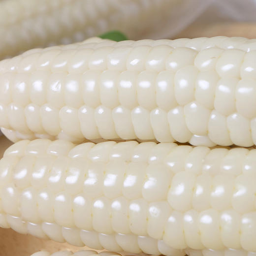 拇指小玉米600g 商品图5