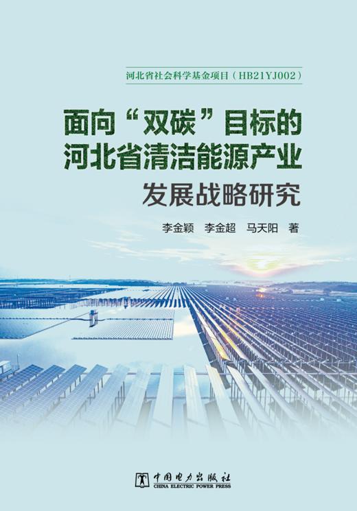 面向“双碳”目标的河北省清洁能源产业发展战略研究 商品图1