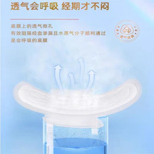 七度空间少女系列夜用卫生巾    5片 商品图2