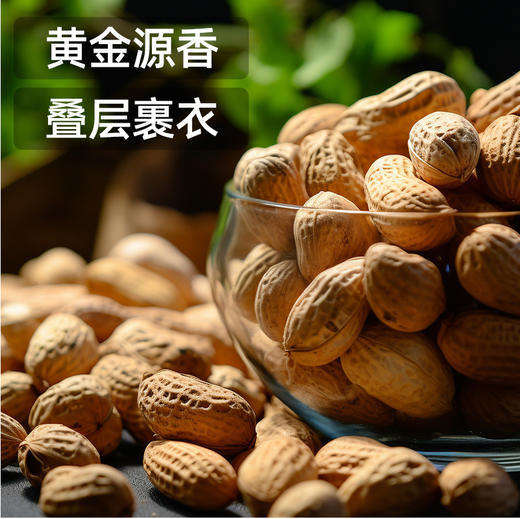 新农哥（陈坚强）多味花生200g（新老包装随机发） 商品图5