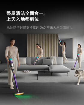 戴森G5 Detect Absolute 无绳吸尘器（紫色）