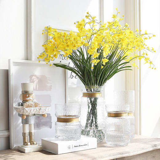 【3种规格可选】娜家欧式透明金属环镶嵌玻璃花瓶 商品图1