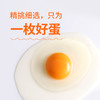 圣迪乐无抗鲜鸡蛋20枚【圣迪乐】JCT 商品缩略图5