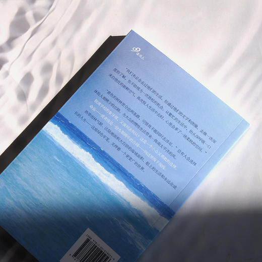 南太平洋的风：库克群岛生活笔记 带着一口炒锅勇闯职场荒野，开启南太平洋的“鲁滨逊漂流职场记”！以幽默、治愈文风，书写孤独与自由。 商品图4