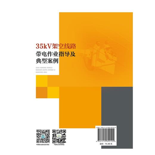 35kV架空线路带电作业指导及典型案例 商品图2
